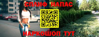 мяу мяу мука Тара